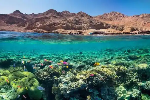 DAHAB
